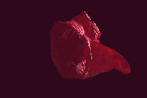 preview017001.jpg